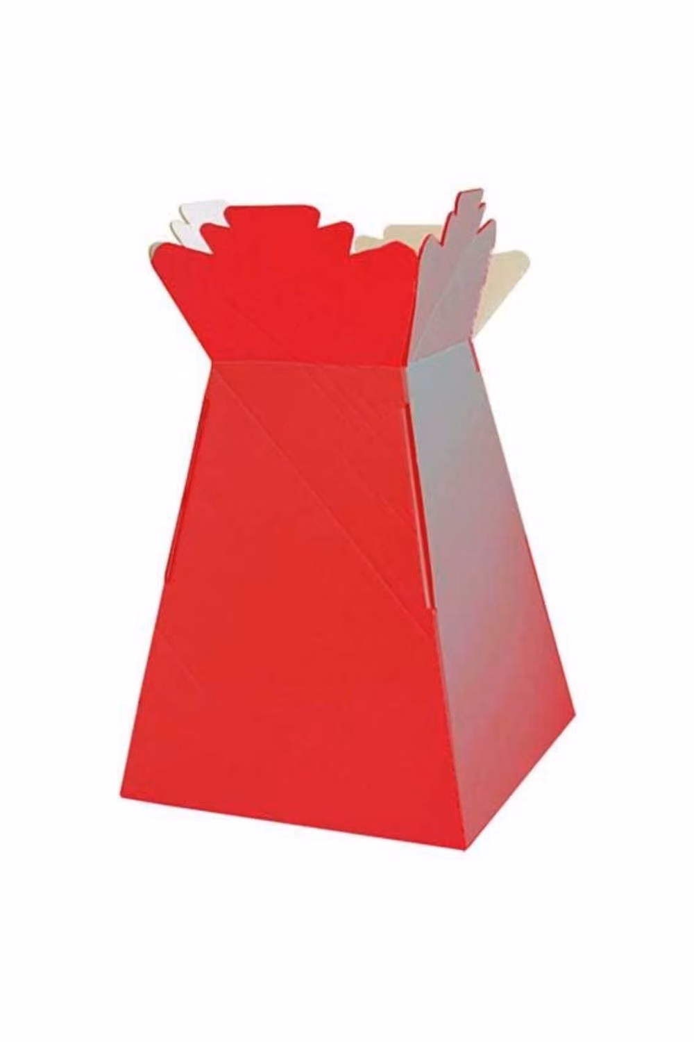 KDMD Red Super Sized Living Vase for Tabletop Use – 2