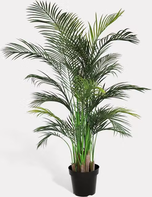 Blooming Artificial Green Outdoor Areca Palm Tree, Height: 167.64 cm