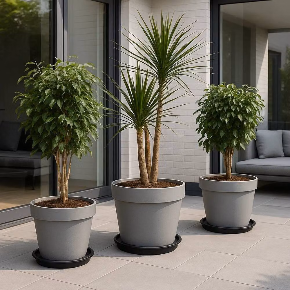 SPETLEK Black Plastic Plant Pot Saucers, 10 Pack, Diameter: 25 cm – 2