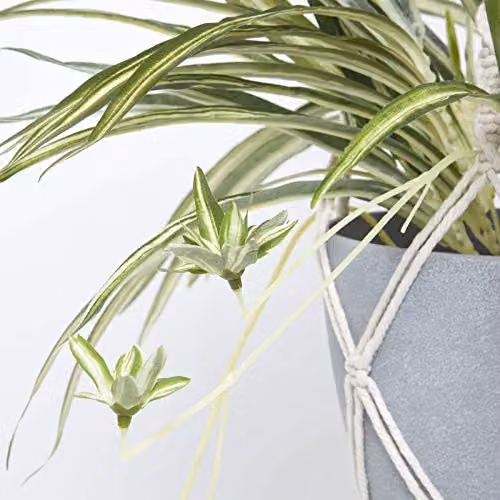 Homescapes Artificial Hanging Spider Plant in Green with Grey Pot and Macramé Hanger, 95 cm – 2