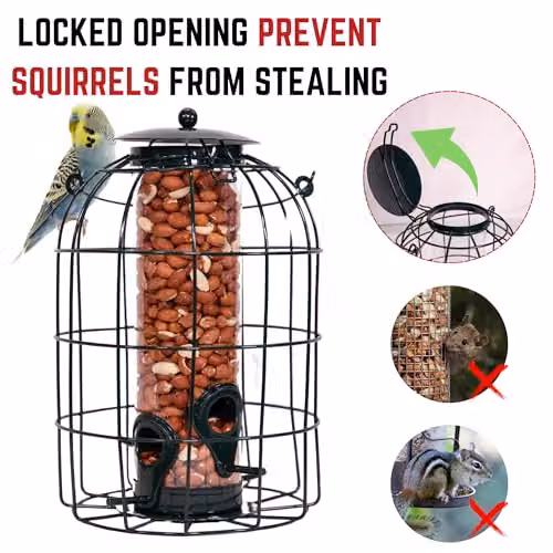 Samuel ALEXANDER Pack of 5 Green Metal Mesh Wild Bird Seed Feeder Cages with Squirrel Guard – 4