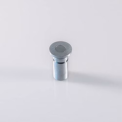 Loops Floor Recessed Dust Excluding Flush Bolt Socket in Satin Chrome, Depth: 4.5 cm