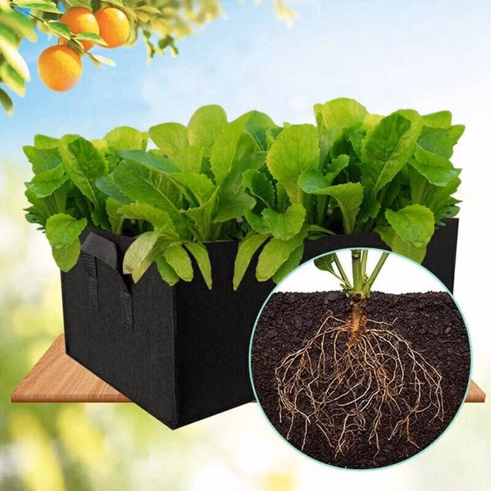 FLAVORA 5-Pack Large Black Plastic Grow Bags for Vegetables and Fruit – 3