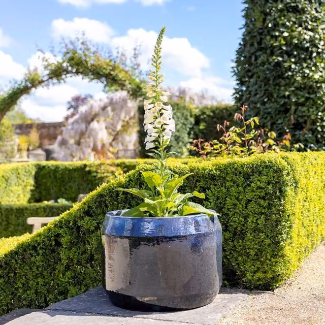 Primrose Blue Mix Round High Gloss Garden Planter, Diameter: 57 cm – 1