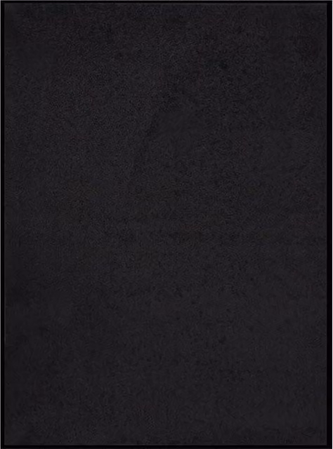 Berkfield Home Black Non-Slip Brushing Doormat, W: 60 cm, D: 80 cm