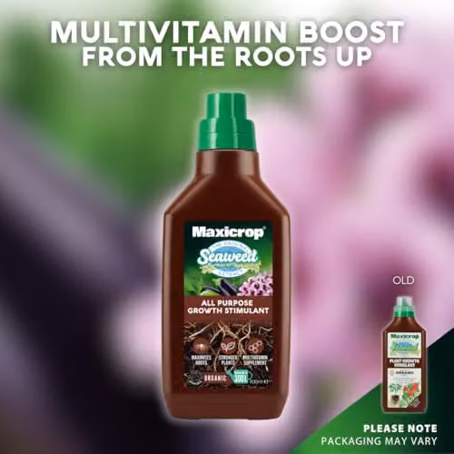 Maxicrop Organic Seaweed Plant Growth Stimulant and Tonic, 500ml – 7