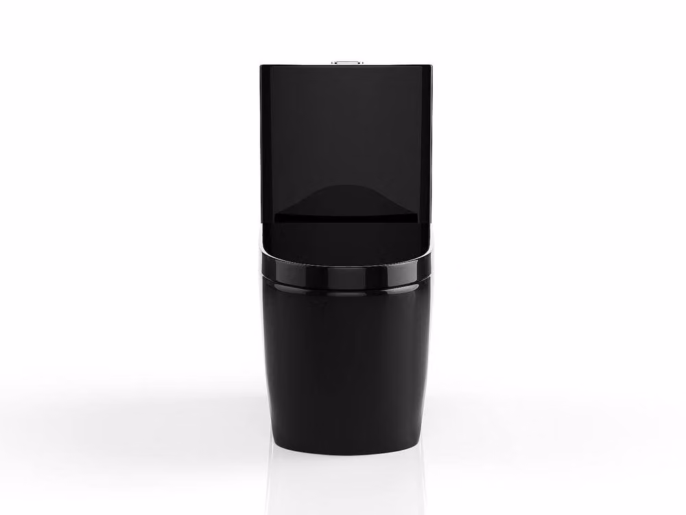 Vente-unique NAGILAM Gloss Black Ceramic Floor-Standing WC with Vertical Outlet and Soft-Close Seat, H 78.5 x W 39.0 x D 69.0 cm – 2