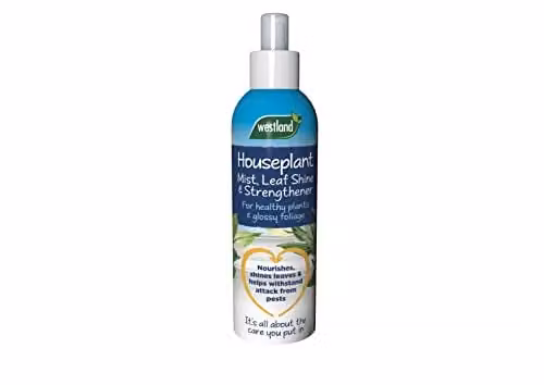 Westland Horticulture Houseplant Mist and Leaf Shine Plant Food, 250ml – 1