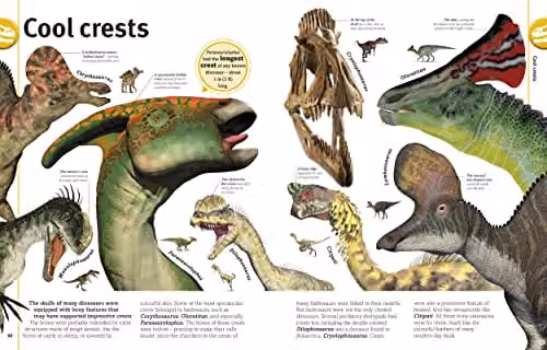 DK The Dinosaurs Book: Our World in Pictures, Multicolour, H 28.3 cm x W 22.3 cm x D 1.7 cm – 4