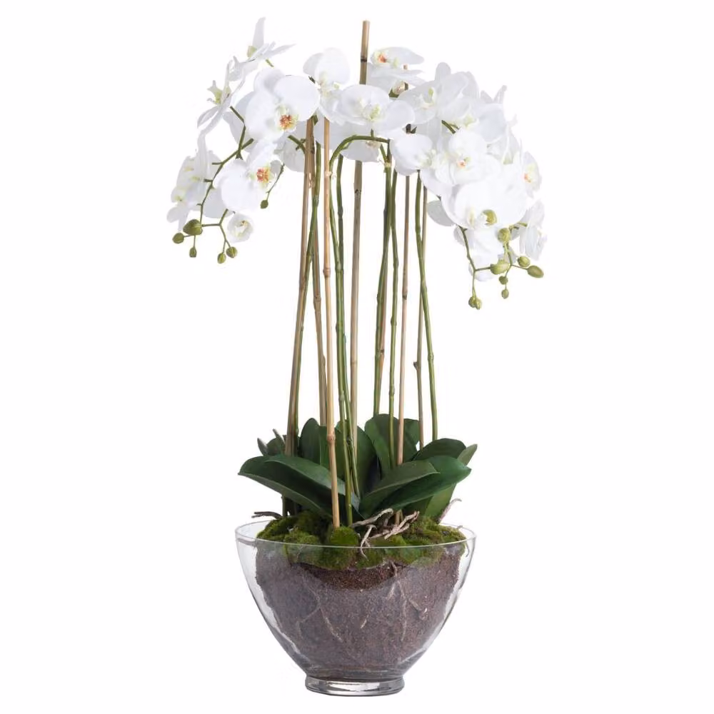 Wyld Haus Large White and Green Artificial Orchid Floral Arrangement in a Glass Pot – 2