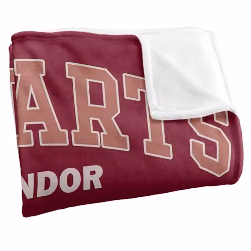 Warner Bros. Harry Potter Hogwarts Gryffindor Alumni Super Soft Fleece Throw Blanket, Red/Multicolour, W: 152.4 cm x D: 127.0 cm – 2