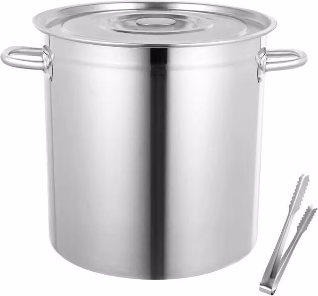 Ventryn 35L Stainless Steel Stock Pot with Lid in Metallic Silver