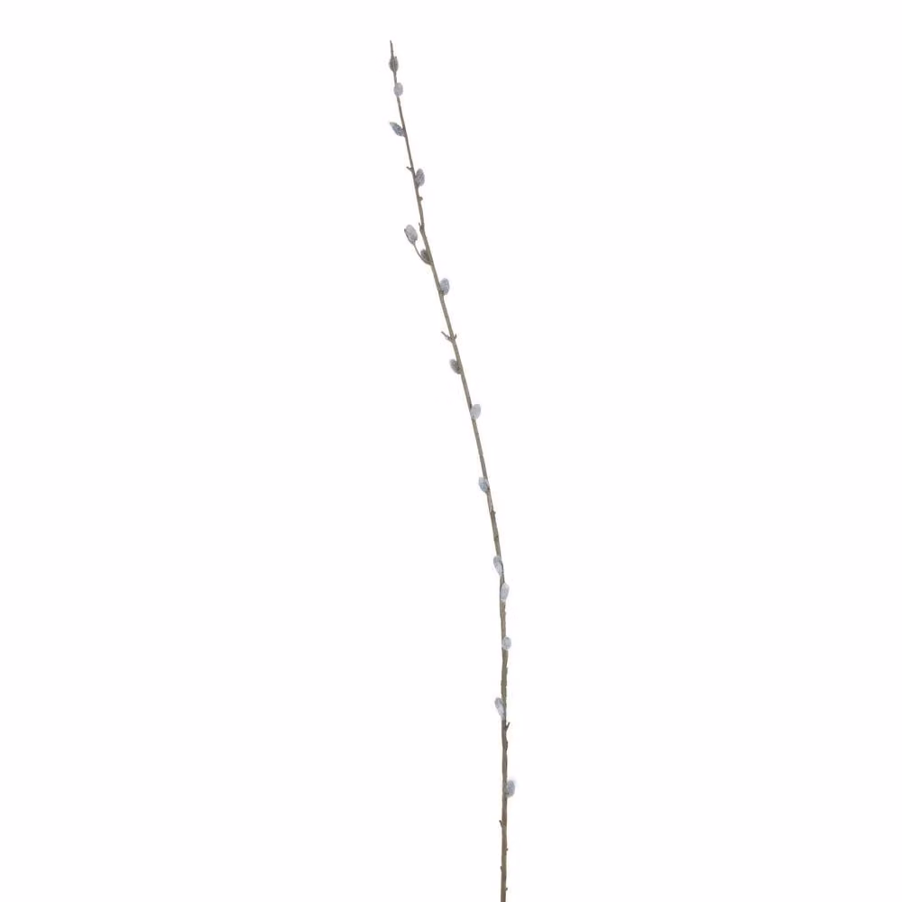 Hill Interiors Faux Pussy Willow Branch in Brown – 2