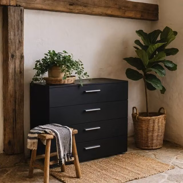 Wyld Haus Daejeon Black 4 Drawer Wooden Chest