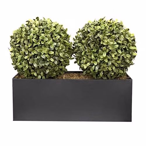 GreenBrokers Double Boxwood Topiary Balls in a Black Metal Tin Planter, 35 cm