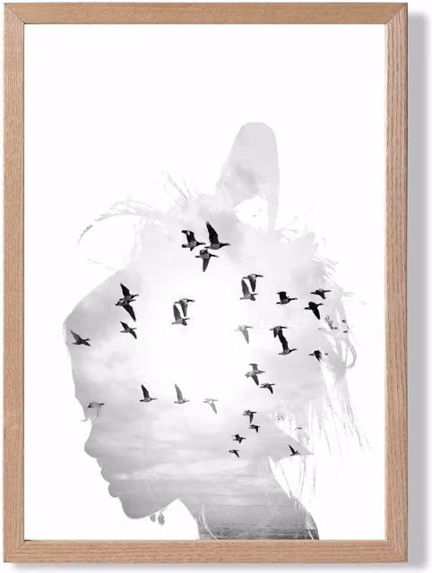 ARTZE Abstract and Seabirds Black and White Framed Photo Print with Oak Frame, A4