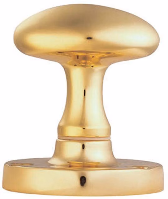 Loops Pair of Large Oval Mortice Door Knobs in Polished Brass, 61mm Diameter
