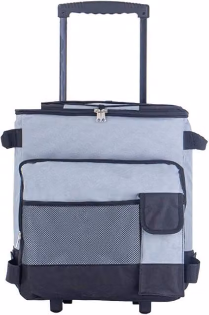 FLAVORA 43L Leakproof Portable Travel Cool Bag in Grey – 1