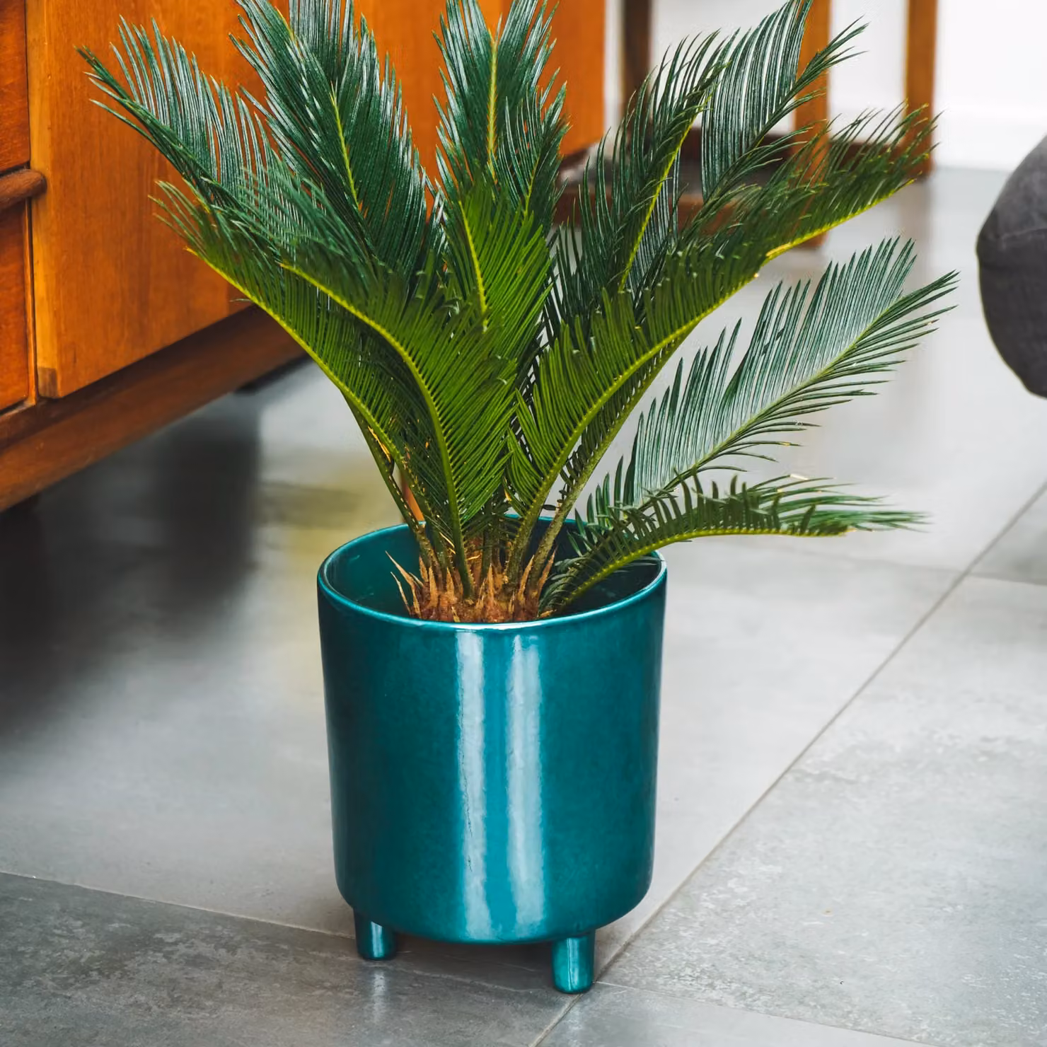 Ivyline Pisa Ceramic Planter in Green, H24 x D20 cm – 2
