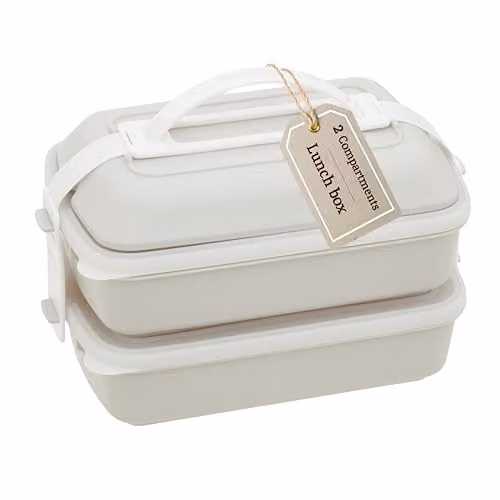 Premier Housewares Grey and White Plastic Lunch Box with Cutlery and Dividers, W: 26 cm, D: 19 cm, H: 16 cm