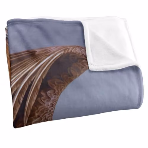 JQ Licensing Taking Flight Eagle Silky Touch Super Soft Fleece Throw Blanket, White, W: 152 cm, D: 127 cm – 2