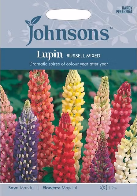 Johnsons Lupin Russell Mixed Flower Seeds, Multicolour