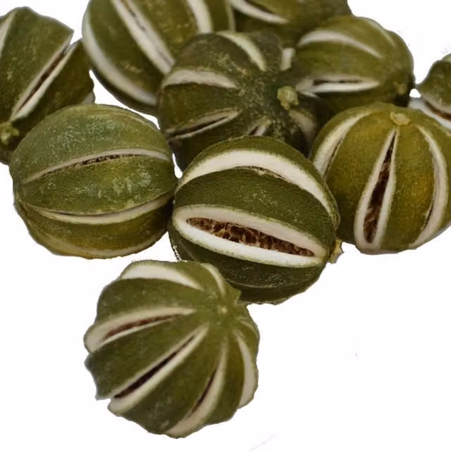 Natural Crafts Decorative Whole Dried Green Oranges, Green, Pack of 10