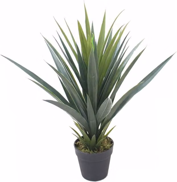 Realistic Green Agave Artificial Succulent Potted Tabletop Plant with Black Pot