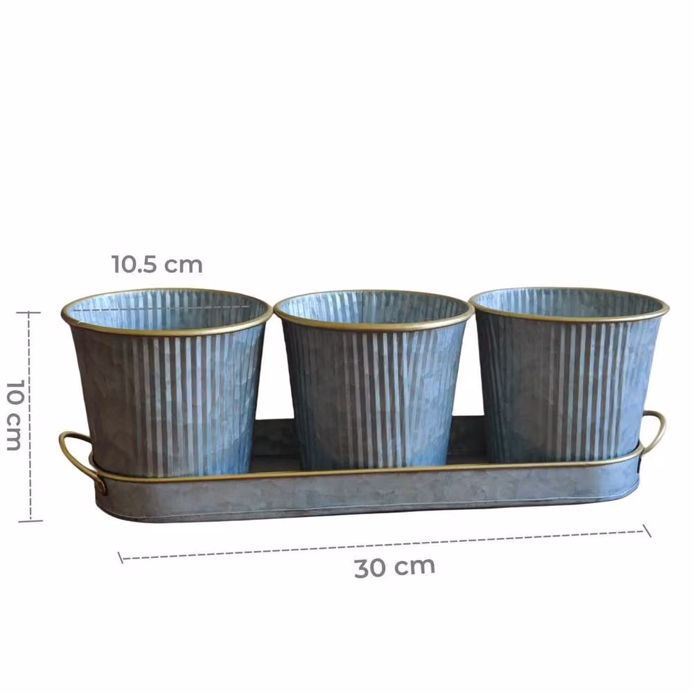 FLAVORA Metal Windowsill Herb Planter with Drainage Tray in Silver or Gold – 2