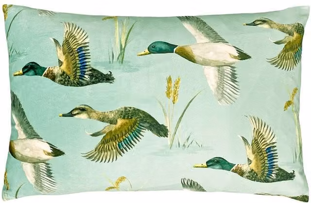 Evans Lichfield Country House Rectangular Velvet Cushion in Green, W: 60 cm, H: 40 cm