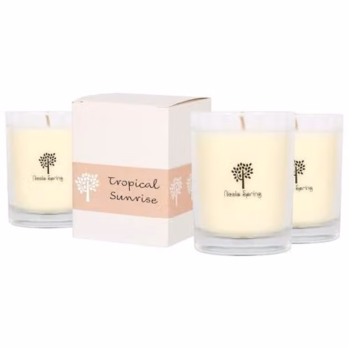 Nicola Spring Summer Fruity and Fresh Scented Soy Wax Candle in Transparent Glass Jar, Pack of 3