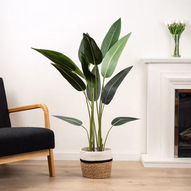 Scottish Everlastings Ltd 130 cm Green Bird of Paradise Tree