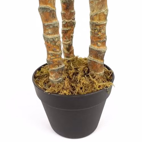 Leaf Design UK Artificial XL Triple Yukka Tropical Tree in Green and Black, Height: 170 cm – 3