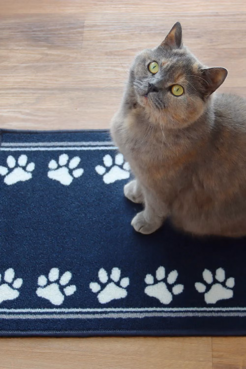 JVL Machine Washable Non-Slip Pet Mat with Animal Graphic, Blue, W/D/H: 70 x 40 x 1 cm – 2