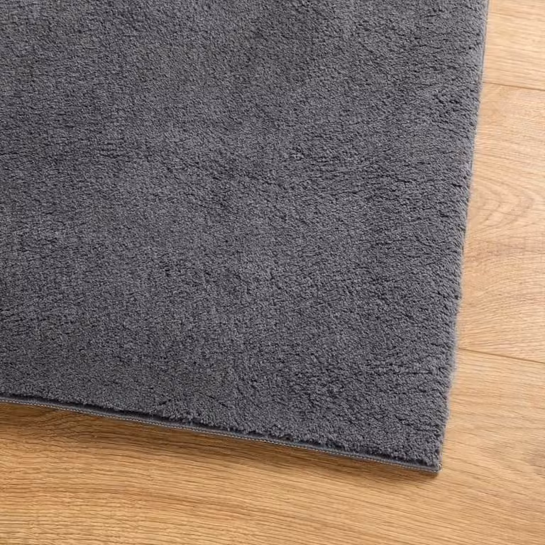 Berkfield Home Round Short Pile Soft and Washable Anthracite Grey Rug, Diameter: 120 cm