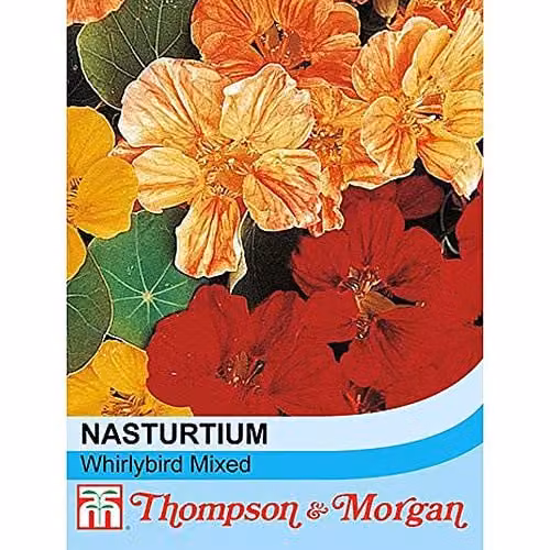 Thompson and Morgan Nasturtium Whirlybird Mixed Indian Cress Flower Seeds, 25 Seeds, Multicolour