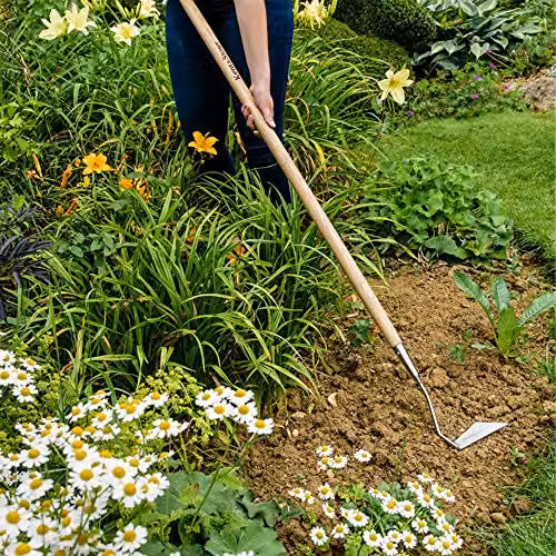 Kent & Stowe Stainless Steel Long Handled Draw Hoe in Silver and Beige – 2