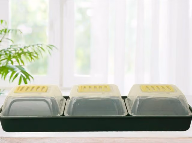 Whitefurze Green Transparent Plastic Windowsill Propagator Set W/D/H: 19.5 x 19.5 x 6.5 cm