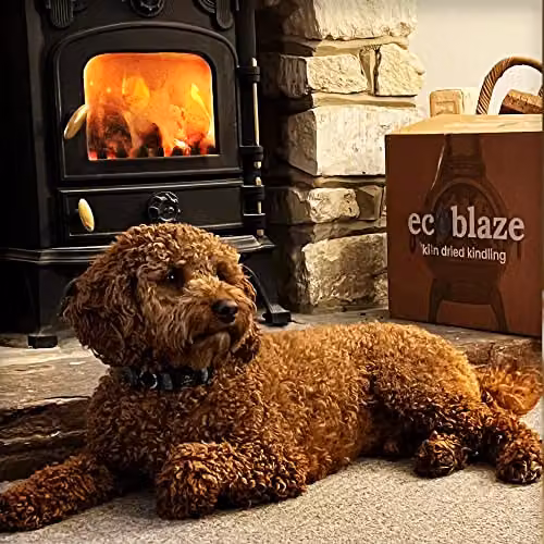 Ecoblaze Kiln Dried Hardwood Kindling Wood, 6.5 kg – 6