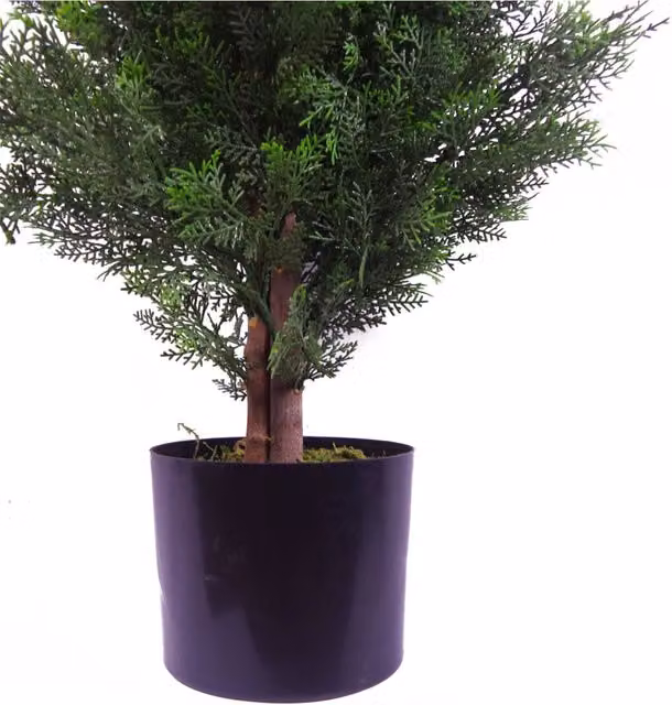 Dyzi Pair of Artificial Cedar Trees with Real Wood Trunks, Green, Height: 120 cm