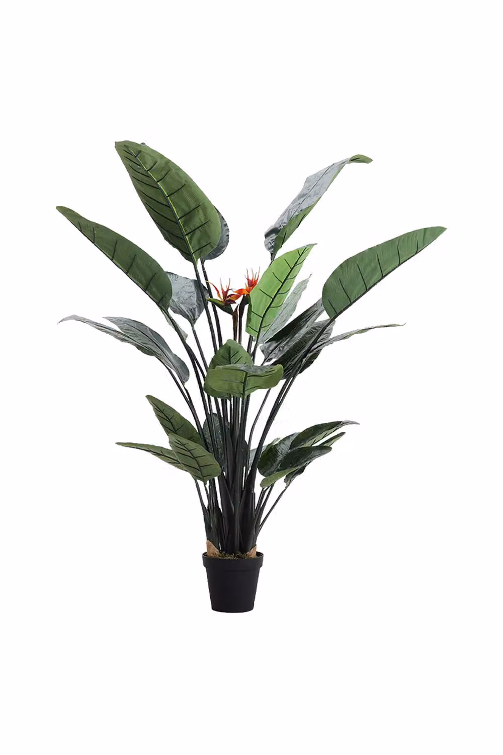 Living and Home 180cm Artificial Potted Bird of Paradise Palm Tree in Green – 4