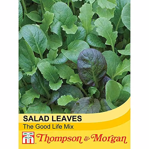 Thompson and Morgan Winter Greens The Good Life Mixed Salad Leaves Hardy Annual Vegetable Seeds, 125 Seeds – 2