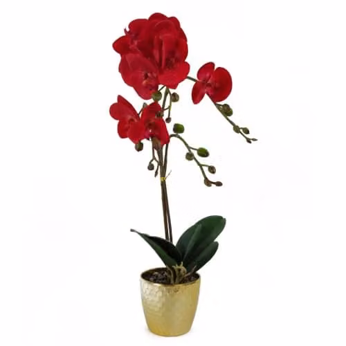 Leaf Design UK Red Leopard Phalaenopsis Artificial Orchid in a Gold Pot, Height: 50 cm – 1