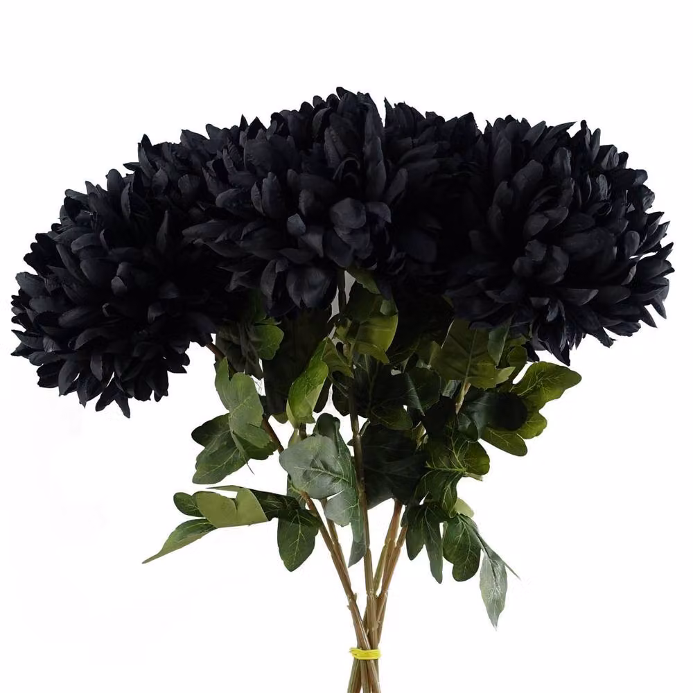 Leaf Pack of 6 Black Artificial Extra Reflex Chrysanthemums, Height: 75 cm – 3