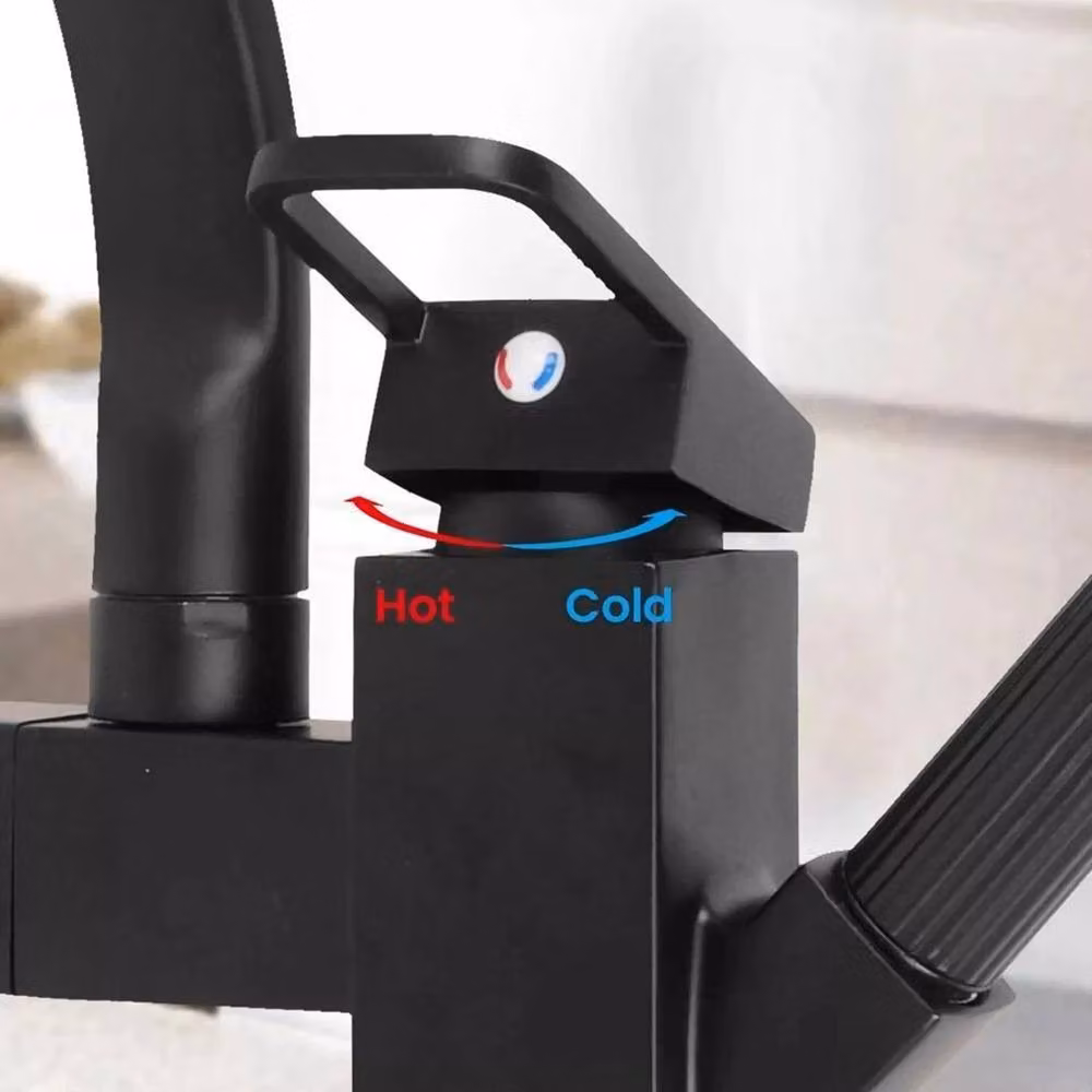 SPETLEK Monobloc Kitchen Sink Mixer Tap with Pull Out Spout and Swivel Spout in Matt Black – 5