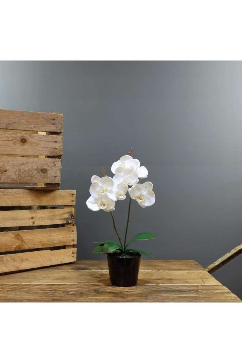 KDMD Artificial White Aragon Phalaenopsis Orchid in a Black Ceramic Planter, Height: 40 cm – 2