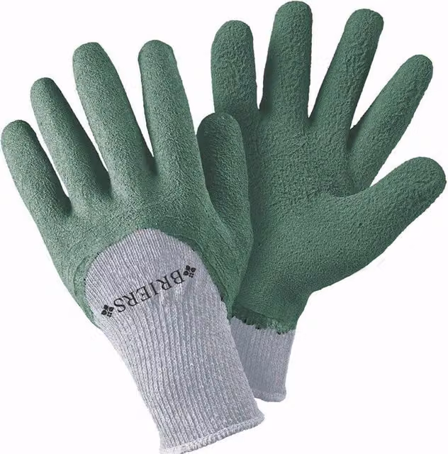 Primrose 6 Pairs of Thermal Extra Grip All Purpose Gardening Gloves in Sage Green, Medium