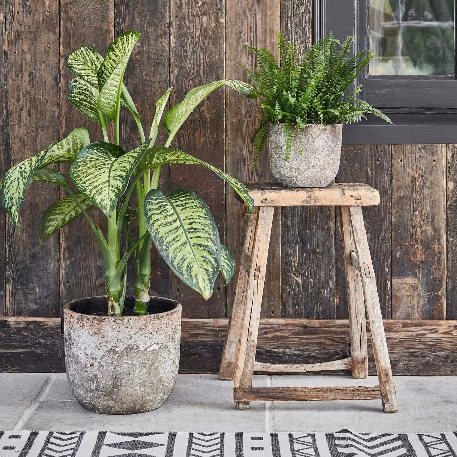 Ivyline Albero Ceramic Indoor Planter, Beige, H: 26 cm, D: 28 cm – 2