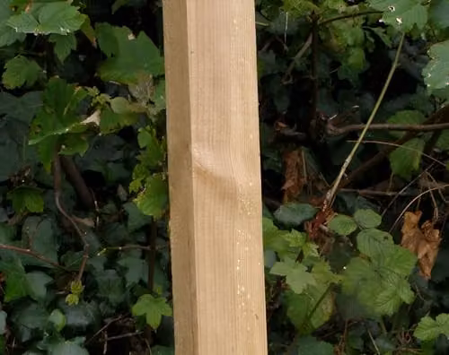Primrose Square Wooden In-Ground Fence Post in Natural Brown, H x W x D: 244.48 x 7.5 x 7.5 cm – 2