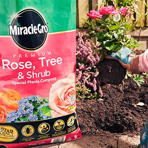 Miracle-Gro Premium Rose, Tree and Shrub Compost, 40 l, Brown – 3
